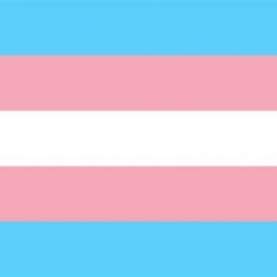 trans pride flag: horizontal stripes of pale blue, pink, white, pink, and pale blue
